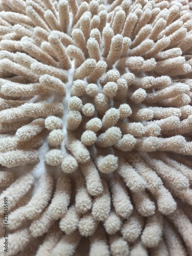 Detailed Macro Shot of Beige Fluffy Chenille Fabric Fibers.