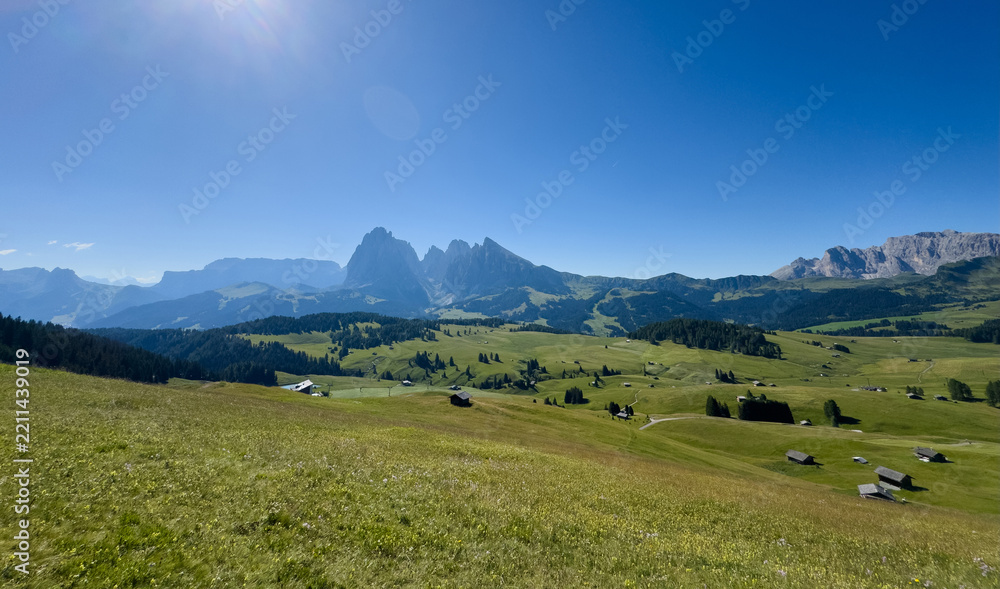Obraz premium View of beautiful landscape in the Alps with fresh green meadows in the background on a sunny day with blue sky and clouds in summertime. Alpe de Siusi, Dolomite Alps