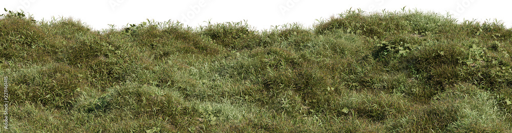 Fototapeta premium Realistic lush green wild grass field terrain isolated on transparent PNG background, 3d render illustration ideal for architectural visualization, nature landscape compositing