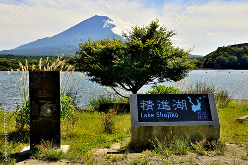 山梨県　精進湖の他手合浜より望む富士山
