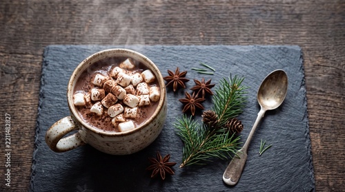 Hot Cocoa with Marshmallows and Star Anise on Rustic Slate
