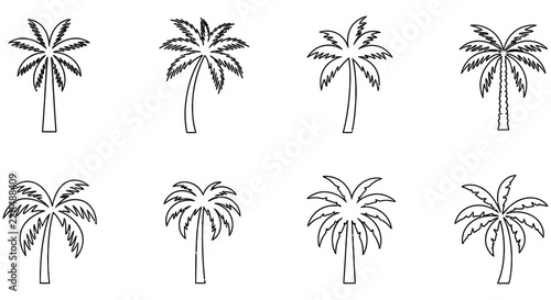Collection of palm tree silhouettes against a white background trees