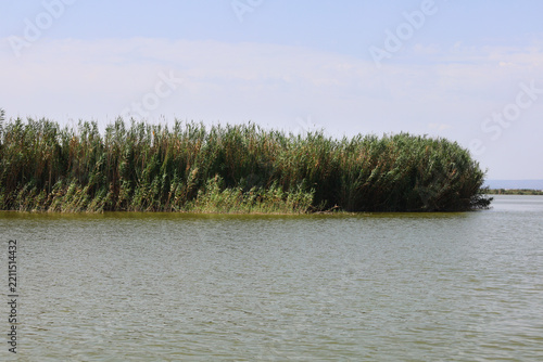 The Albufera Lagoon natural park, the coastal wetlands of Valencia province