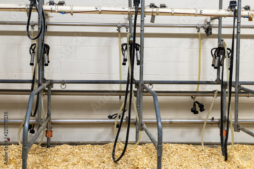 Milking Machine
