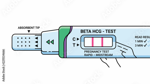 Beta HCG pregnancy rapid midstream test vector illustration showing positive result with two pink lines.