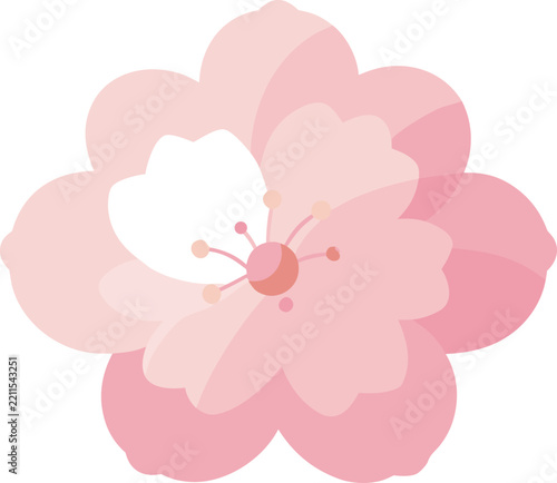 Beautiful pink cherry blossom flower icon Vector