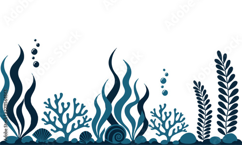 Marine Botanical Seaweed Coral and Shell Illustration.