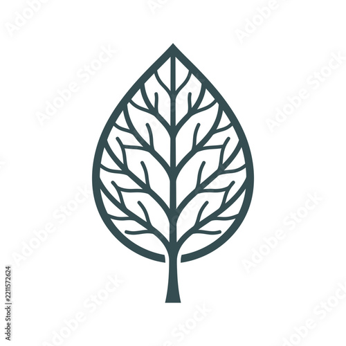 Symmetrical line art leaf illustration with intricate vein pattern design