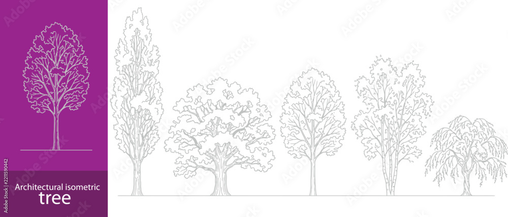 Fototapeta premium Architectural isometric tree collection displaying diverse deciduous foliage crowns and trunk line art elements for landscape axonometric and CAD rendering