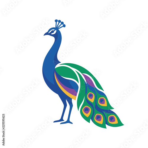 Colorful peacock vector illustration isolated on white background, elegant bird logo concept