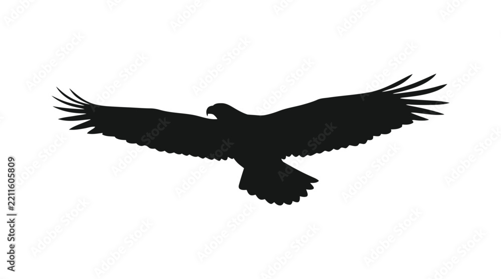 Obraz premium Soaring eagle with outstretched wings is depicted as a black silhouette bird raptor avian