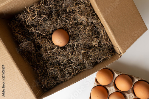 Plain, biodegradable, recyclable packaging concept.  Brown, paper box with natural, soft, clean, moss, padded protection for brown, organic eggs.