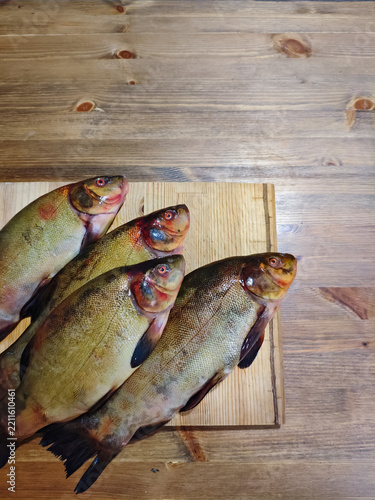 Fotografie Fresh Whole Tench Fish Arranged on a Wooden Cutting Board
