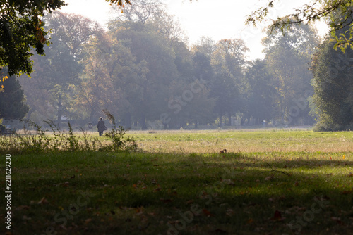A field in an autumn park.
