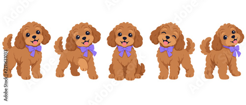 Set of curly brown dogs wearing purple bow ties in playful poses