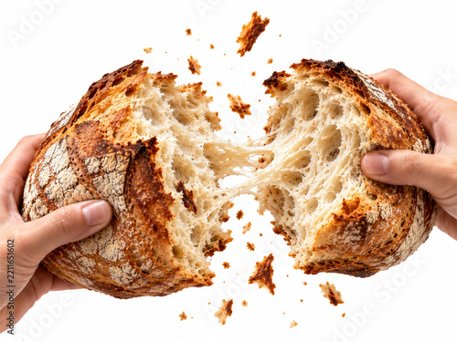 Hands Breaking Freshly Baked Sourdough Bread Loaf with Flying Crumbs Isolated on White Background.