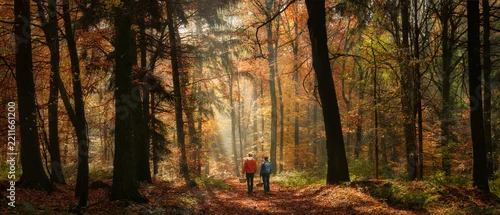 Panel kuchenny z motywem Two people walking in a magical sunny autumn forest with rays of sunlight. Panoramic nature scenery with mist, beams of light and fall colors.