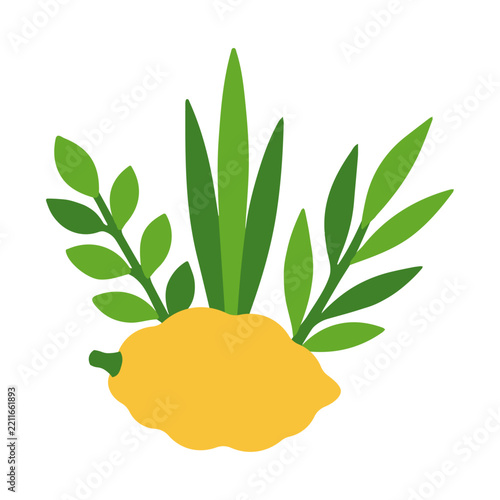 Sukkot Etrog and Lulav Illustration, Minimal Four Species Botanical Symbol