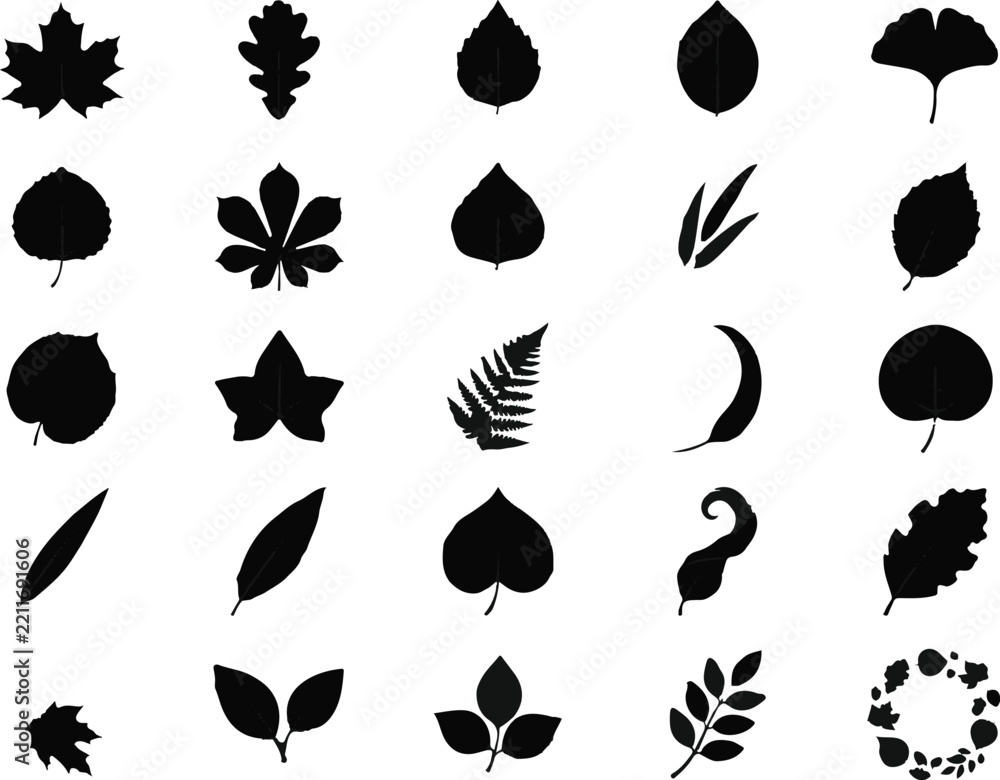 Obraz premium Autumn leaves silhouette collection for seasonal nature design