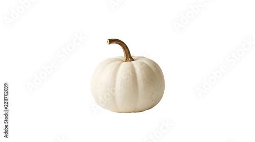 Small white pumpkin with a brown stem on a white background.