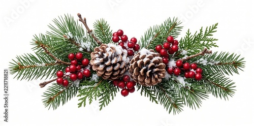Snowy pine branch with brown pinecones and glossy red holly berries