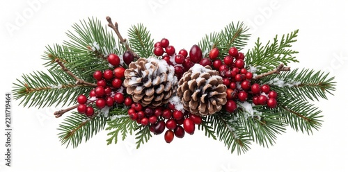 Snowy pine branch with brown pinecones and glossy red holly berries