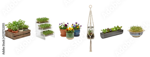 Collection of indoor gardening containers showing various plants like herbs in a crate, microgreens on a stand, pansies, a hanging terrarium, and lettuce seedlings
