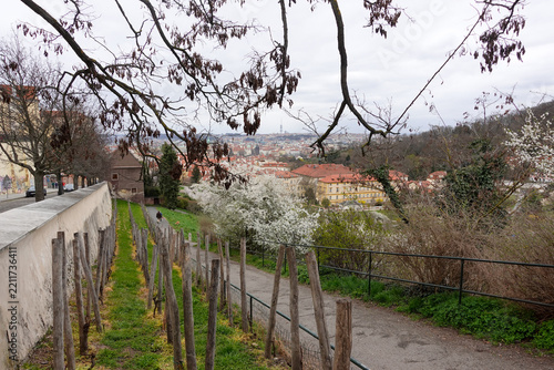 Panoramic cityscape of Prague displaying red terracotta rooftops, historic spires, and the Vltava River spanning across the urban horizon.