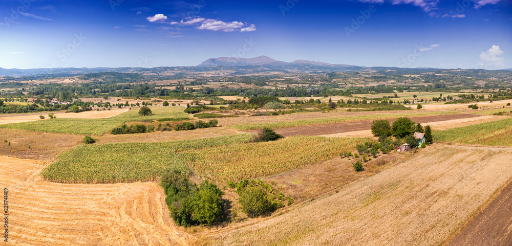 Obraz premium Farmland with rows of crops extending to a rural road, green trees, and distant Rtanj Mountain under a clear blue sky in Serbia