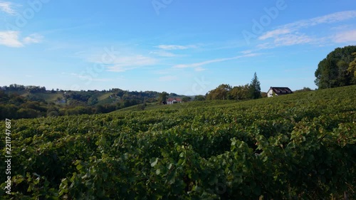 Explore a vineyard in Jurancon, France with an aerial view of vast
