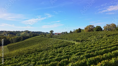 Exploring a vineyard in Jurancon, France showcasing lush green vines