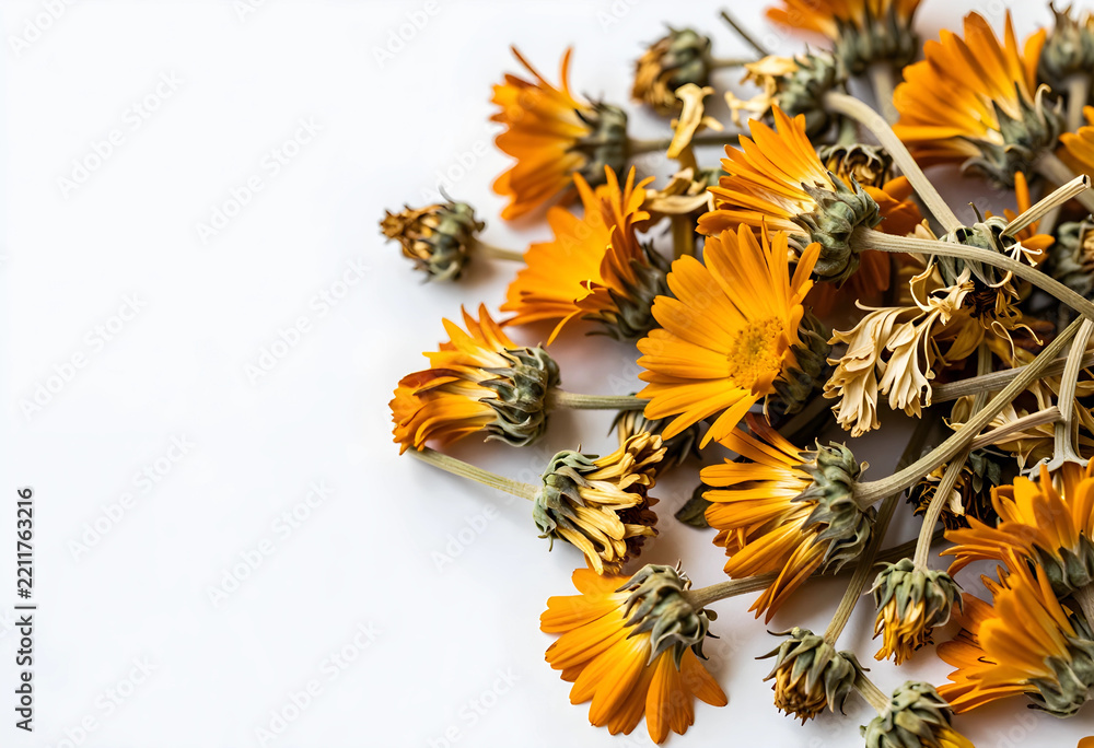 Naklejka premium Calendula flowers for herbal medicine and skincare, dried orange marigold petals for natural wellness and organic cosmetics on a white background