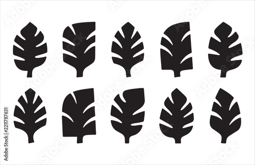Black Leaf and Botanical Silhouette Pattern Elements