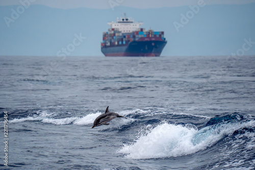 Striped Dolphin Leaping in Ocean Waves with Container Ship Behind