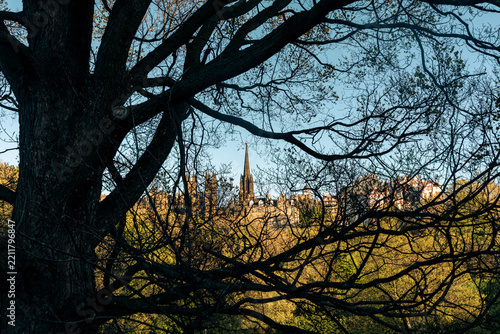 Daylight horizontal photograph of Edinburgh's Old Town architecture and church spire framed through intricate dark tree branches and foliage in Scotland