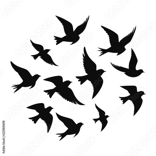 Minimalist Flying Birds Flock Silhouette on White Background – Elegant Nature Vector Illustration