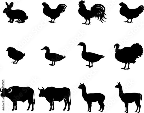 Farm and Domestic Animals Silhouette Collection, Rabbit, Chicken, Rooster, Duck, Goose, Turkey, Buffalo, Ox, Alpaca and Llama Vector Set