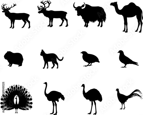 Wild and Domestic Animal Silhouette Collection, Deer, Reindeer, Yak, Camel, Cat, Peacock and Bird Vector Set