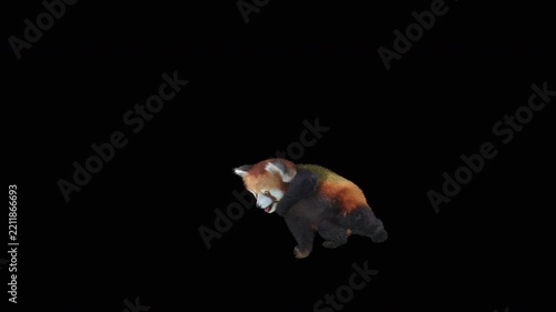 Cute 3D animated red panda dancing rumba with alpha channel. Cartoon animal character isolated for compositing, motion graphics, video editing, and digital content creation.