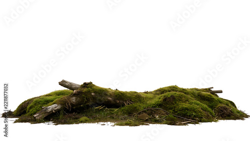 A pile of moss-covered branches and logs sits on a white background, suggesting forest floor debris.