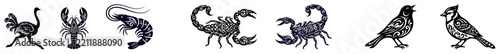 A collection of various hand drawn black and white zodiac signs and astrological symbols on white background