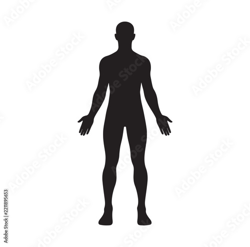 Male body silhouette vector, full length anatomy figure, medical science design