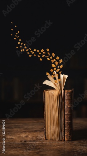 Magical autumn leaves emerging from open old book
