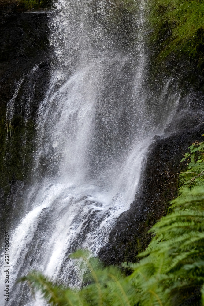 Obraz premium Close-Up of Water Spraying Down Lower South Falls Beside Ferns
