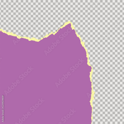 Purple torn paper piece with jagged edges and yellow fibers on a transparent background for graphic design