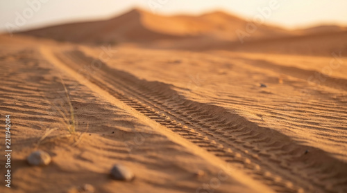 4x4 tire tracks deep in desert sand, showing pattern of off road vehicle. 4x4 tire tracks lead across arid landscape, to distant dunes in warm sun. Adventure travel concept