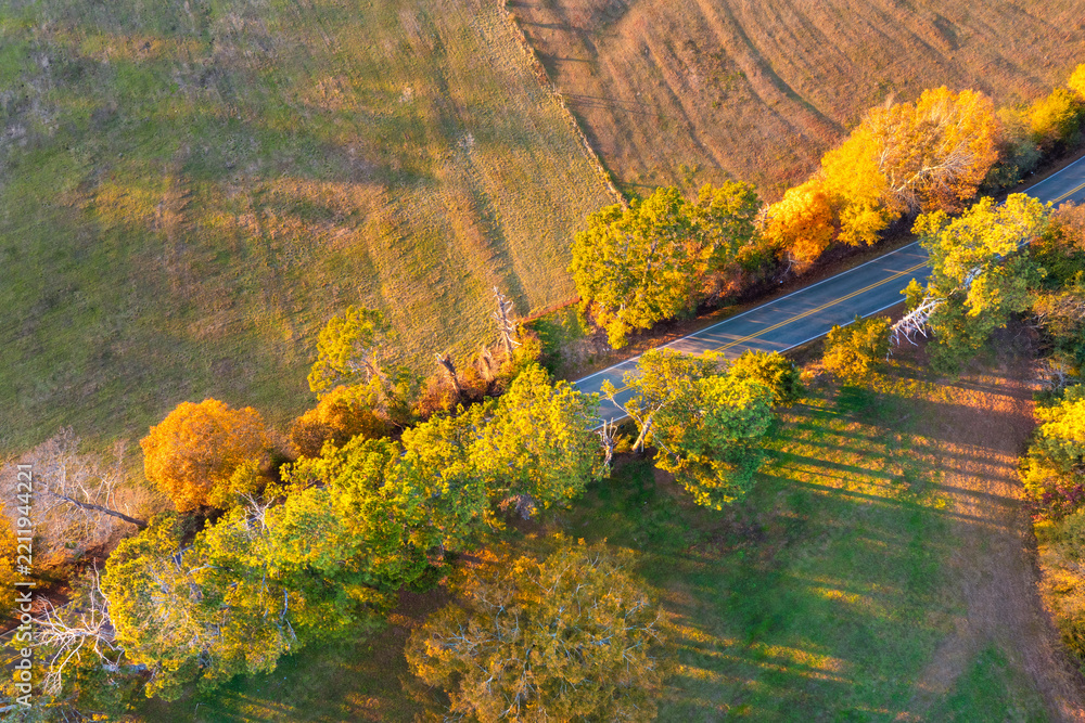 Obraz premium Serene forest roadway winding through mountain hills beneath brilliant autumn foliage. Picturesque seasonal landscape with colorful trees and an empty road.