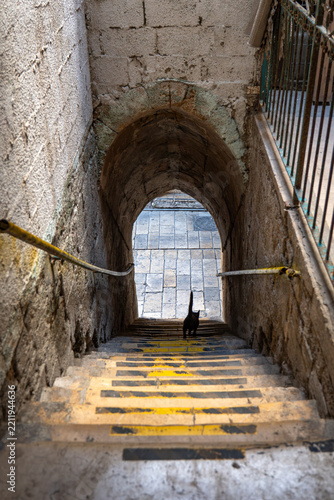 Weathered stone stairs with yellow markings, passing through an arched tunnel in a historic urban setting with a black cat walks down