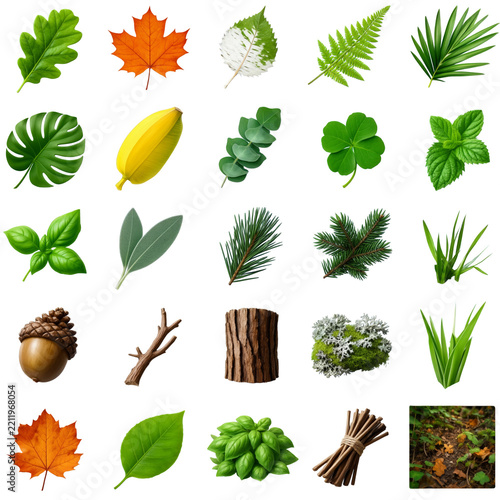 Premium 3D Botanical Icon Collection Isolated on Transparent Background for Web Design Use