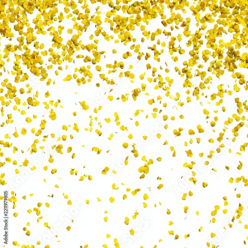 Yellow petals gracefully fall from the sky creating a warm and delicate atmosphere against a clean white backdrop